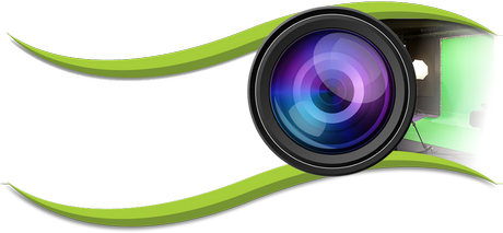 Hallisoft videos